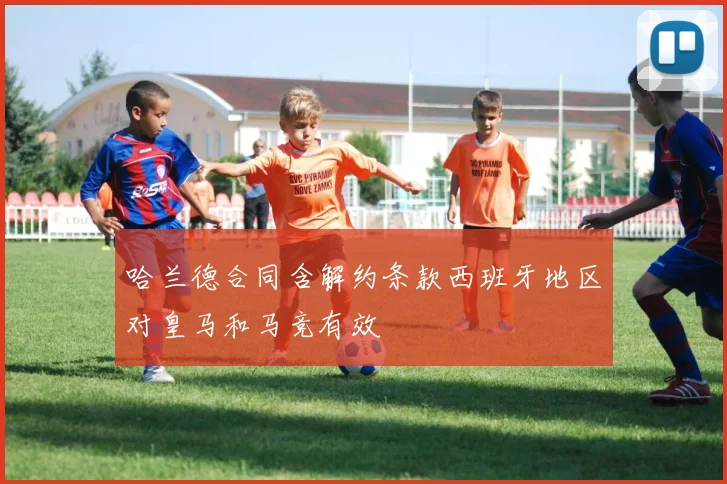 哈兰德合同含解约条款西班牙地区对皇马和马竞有效