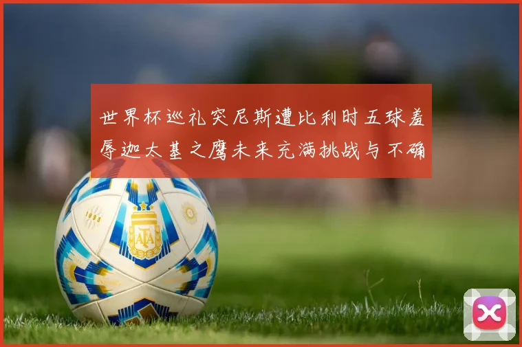 世界杯巡礼突尼斯遭比利时五球羞辱迦太基之鹰未来充满挑战与不确定性